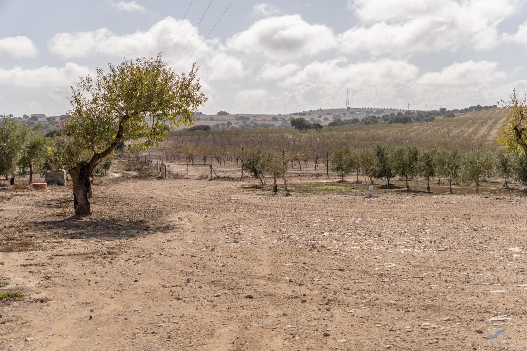 For sale of rural property in Alamedilla