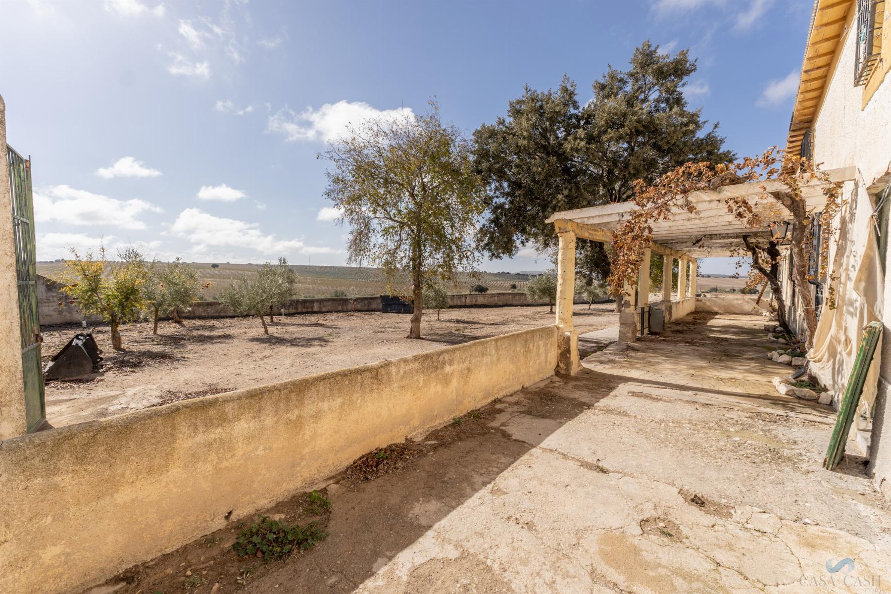 For sale of rural property in Alamedilla