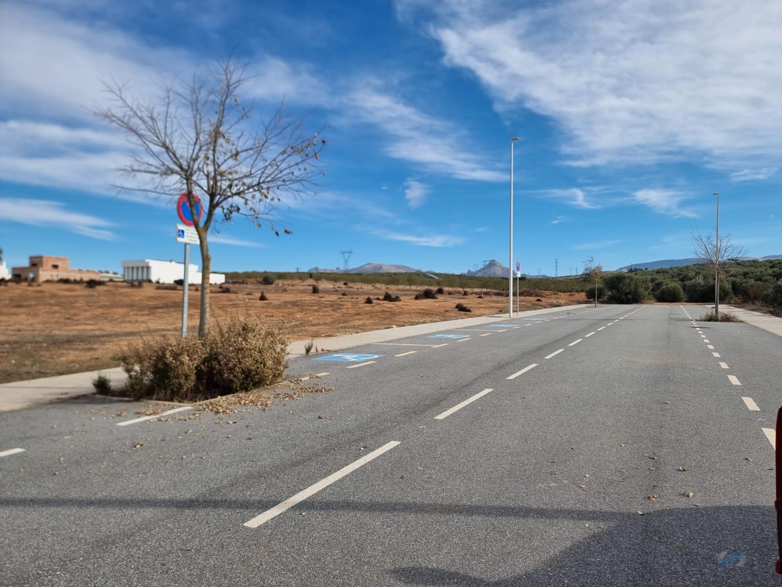 For sale of land in Albolote