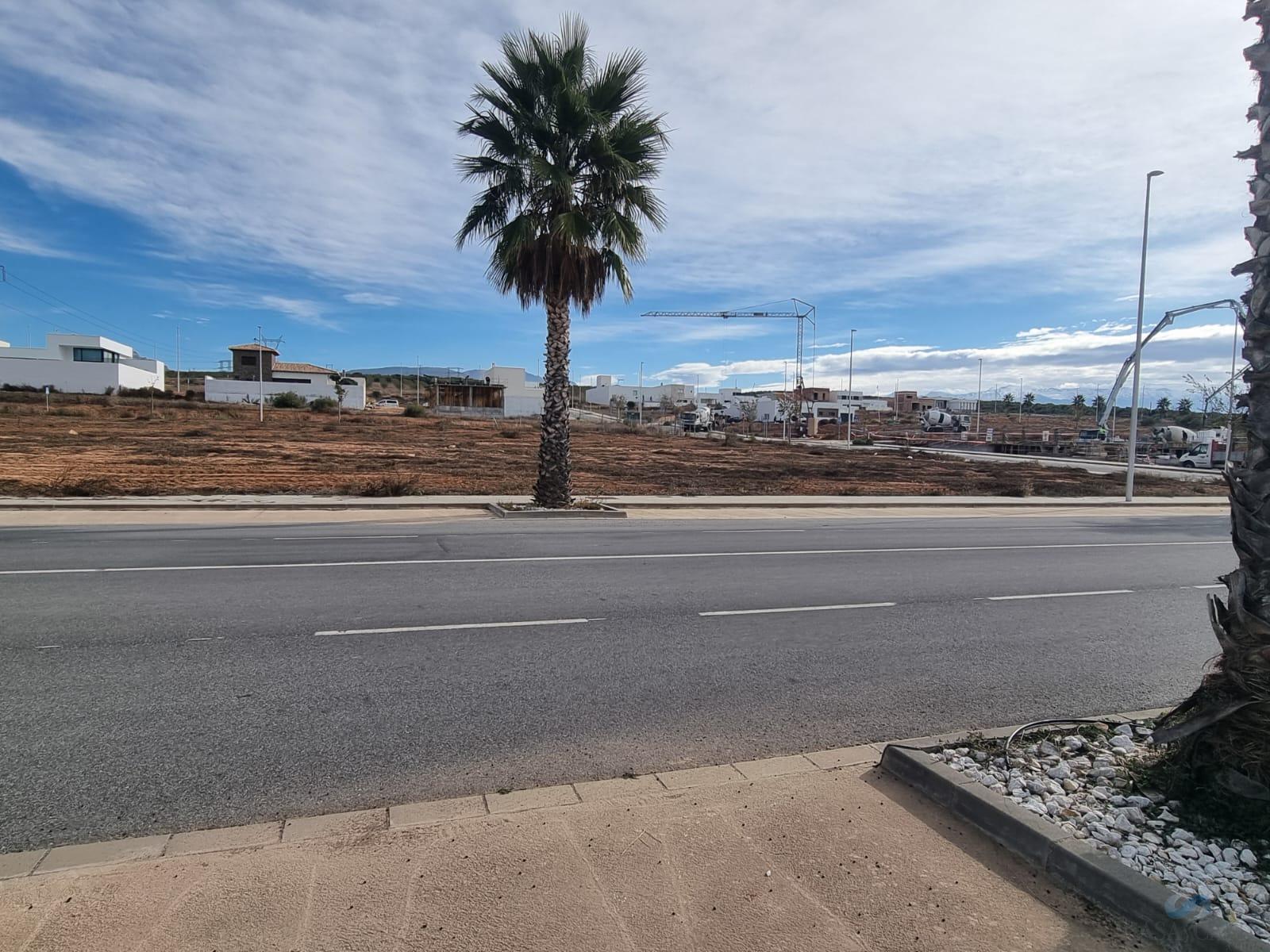 For sale of land in Albolote