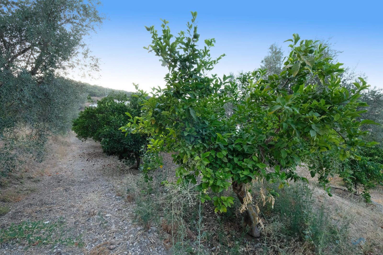 For sale of recreation property in Villamena
