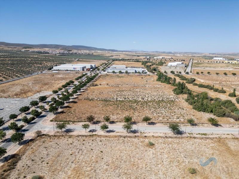 For sale of land in Escúzar