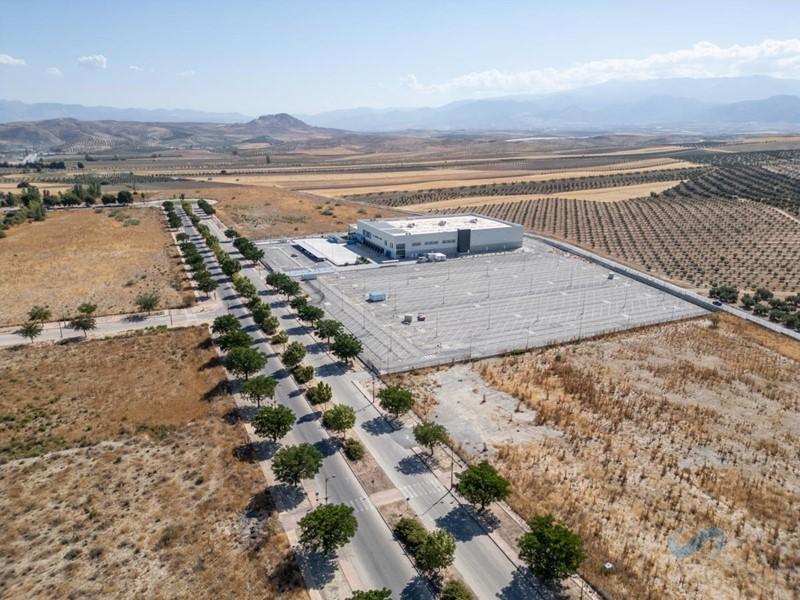 For sale of land in Escúzar