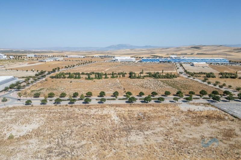 For sale of land in Escúzar