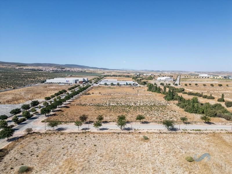For sale of land in Escúzar