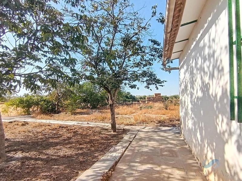 For sale of house in Belicena