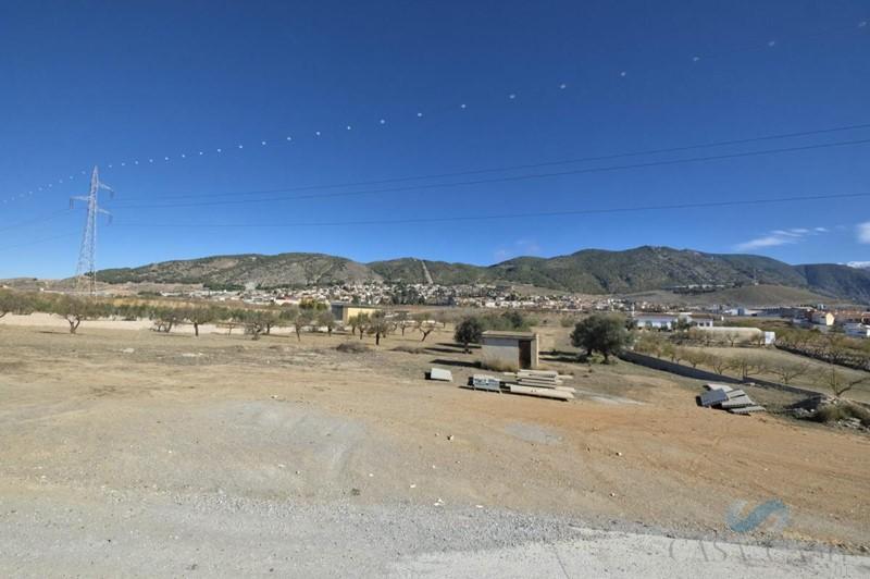 For sale of rural property in Padul