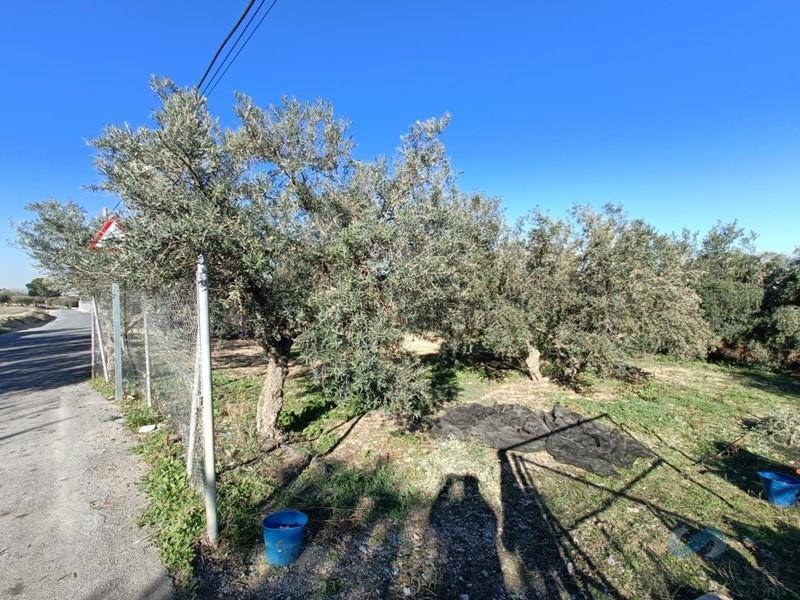 Vendita di chalet in Las Gabias