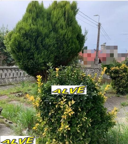 Venta de casa en Camargo