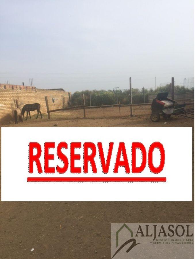 For sale of land in Pilas
