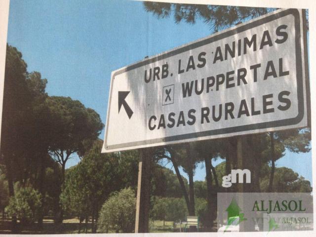 For sale of land in Hinojos