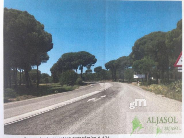 For sale of land in Hinojos