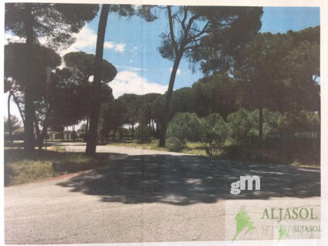 For sale of land in Hinojos