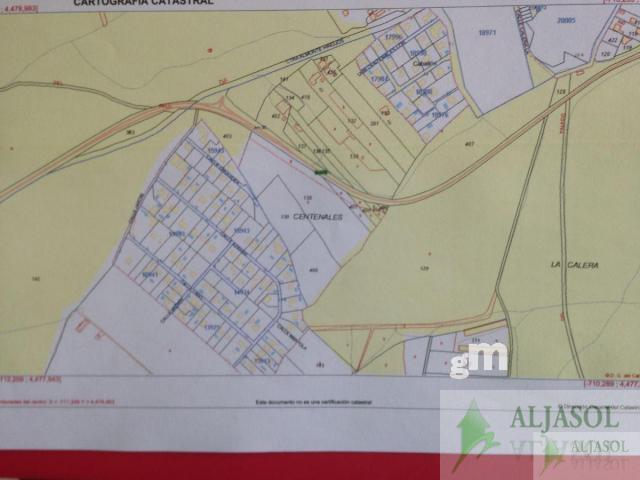For sale of land in Hinojos