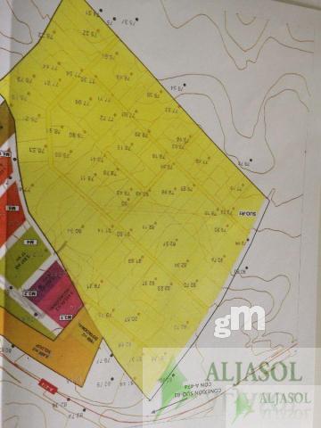 For sale of land in Hinojos