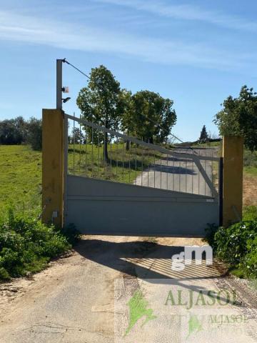 Venta de finca rústica en Aznalcázar