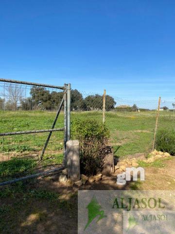 Venta de finca rústica en Aznalcázar