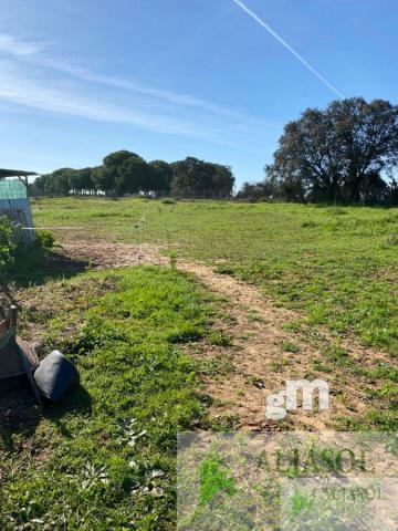 Venta de finca rústica en Aznalcázar