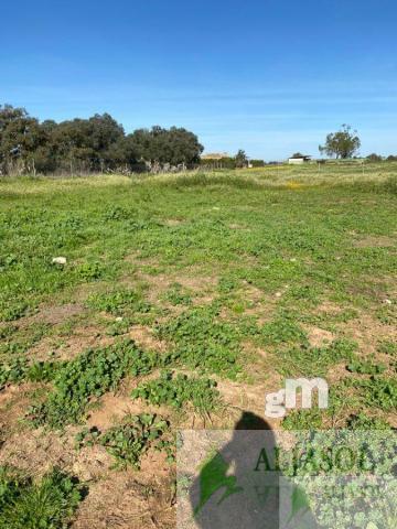 Venta de finca rústica en Aznalcázar