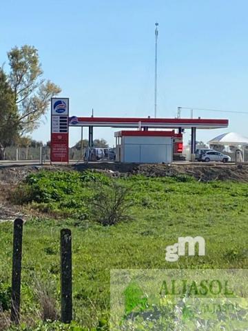 Venta de finca rústica en Aznalcázar