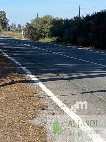Venta de finca rústica en Aznalcázar
