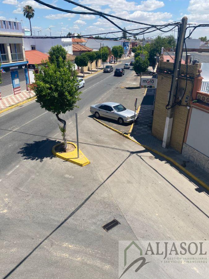 For rent of commercial in Espartinas