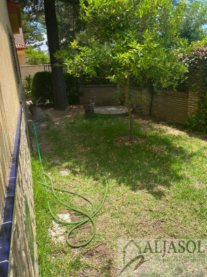 Venta de chalet en Espartinas Venta de chalet en Espartinas