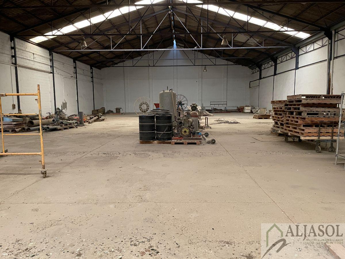 Alquiler de nave industrial en Santiponce