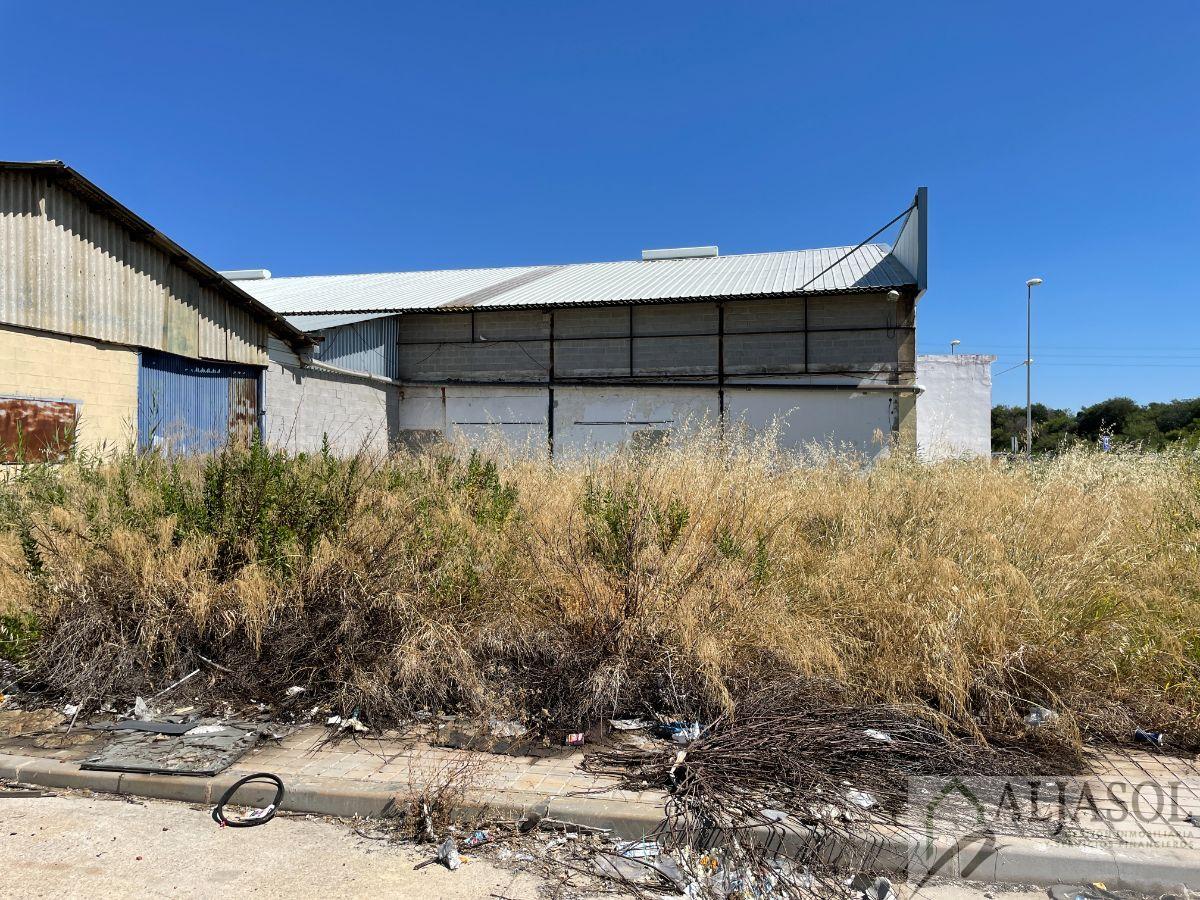 Alquiler de nave industrial en Santiponce