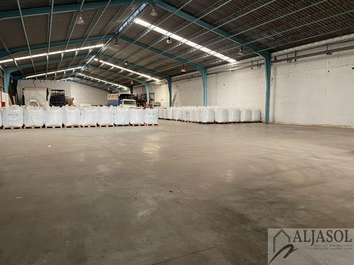 Alquiler de nave industrial en Santiponce