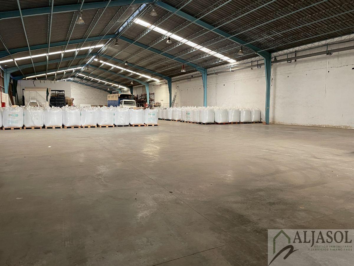 For rent of industrial plant/warehouse in Santiponce