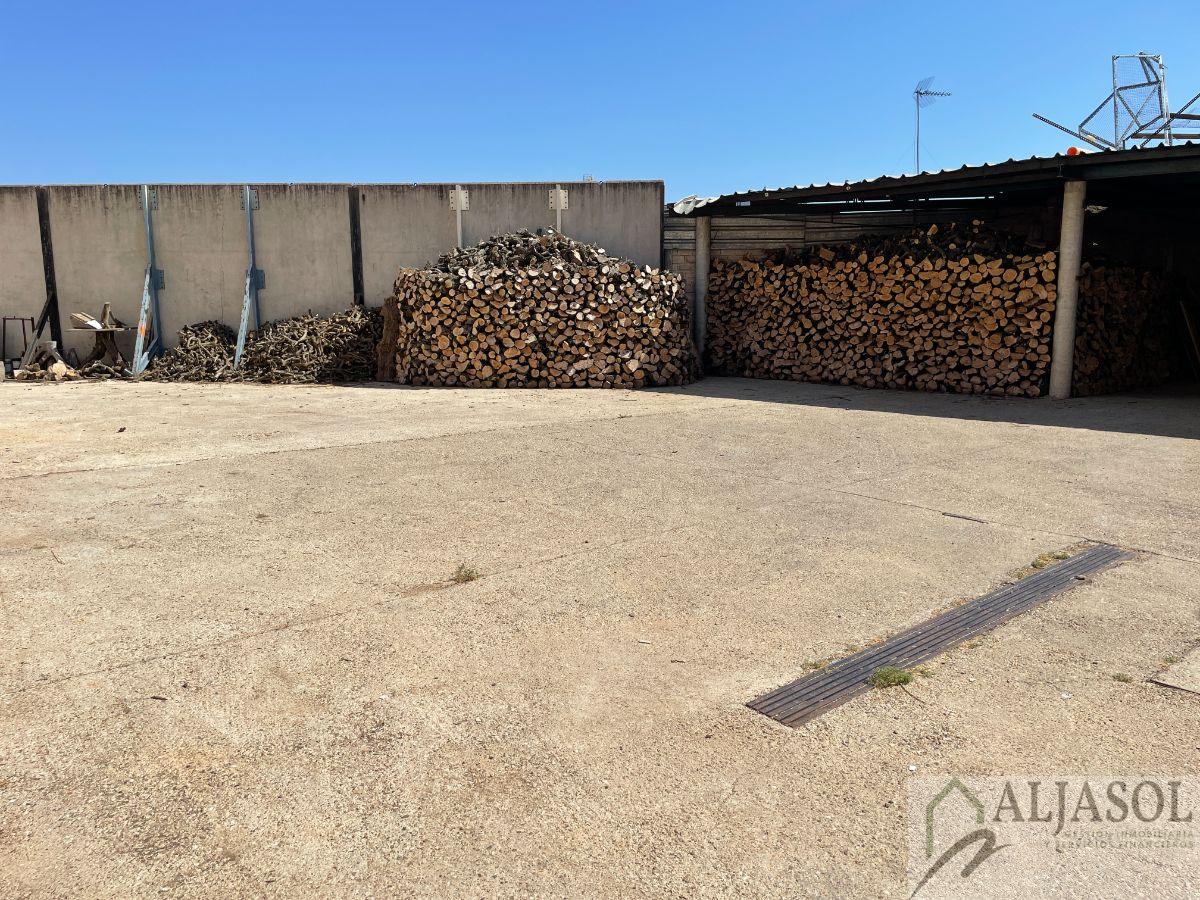 For sale of land in Umbrete