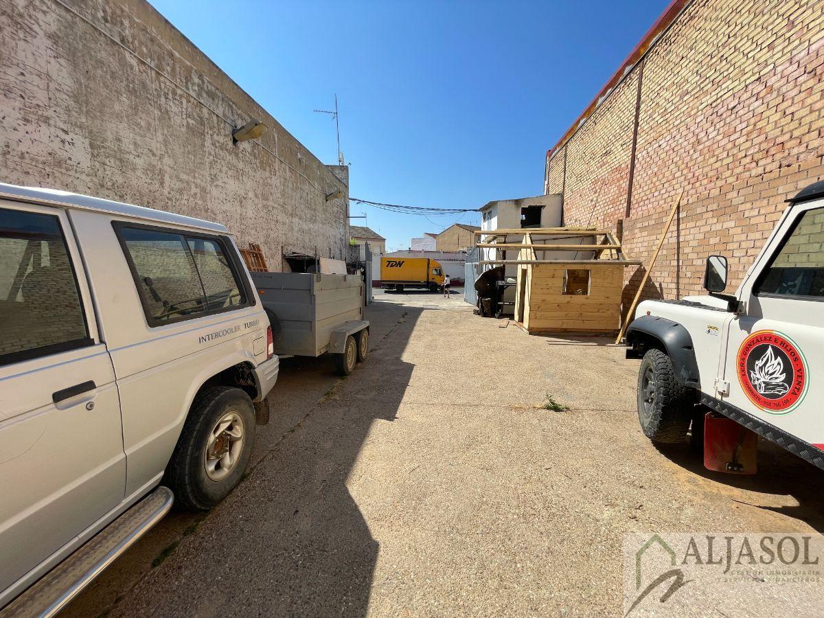 For sale of land in Umbrete