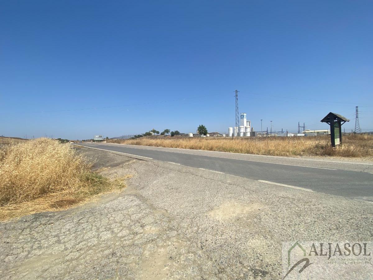 For sale of rural property in Salteras
