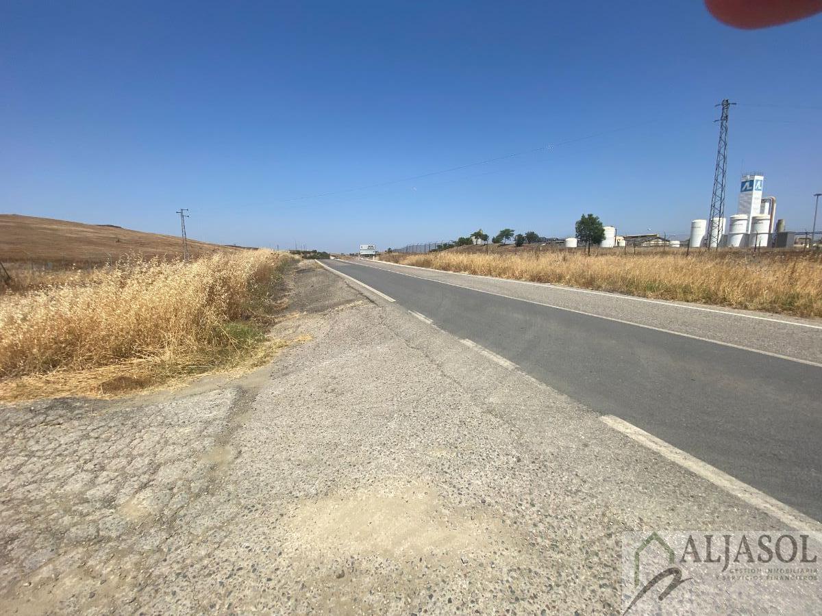 For sale of rural property in Salteras