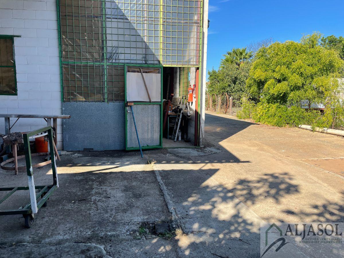 For sale of industrial plant/warehouse in Bormujos