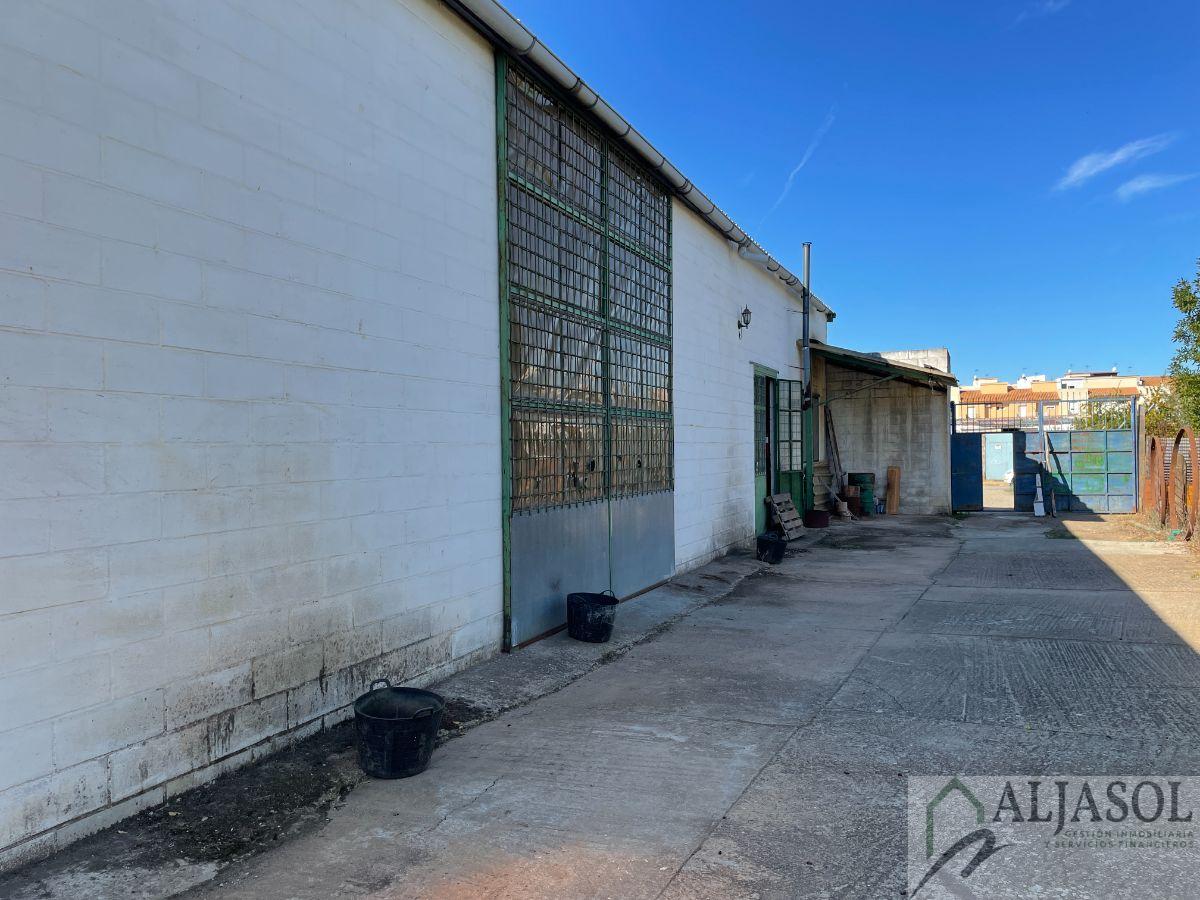 For sale of industrial plant/warehouse in Bormujos