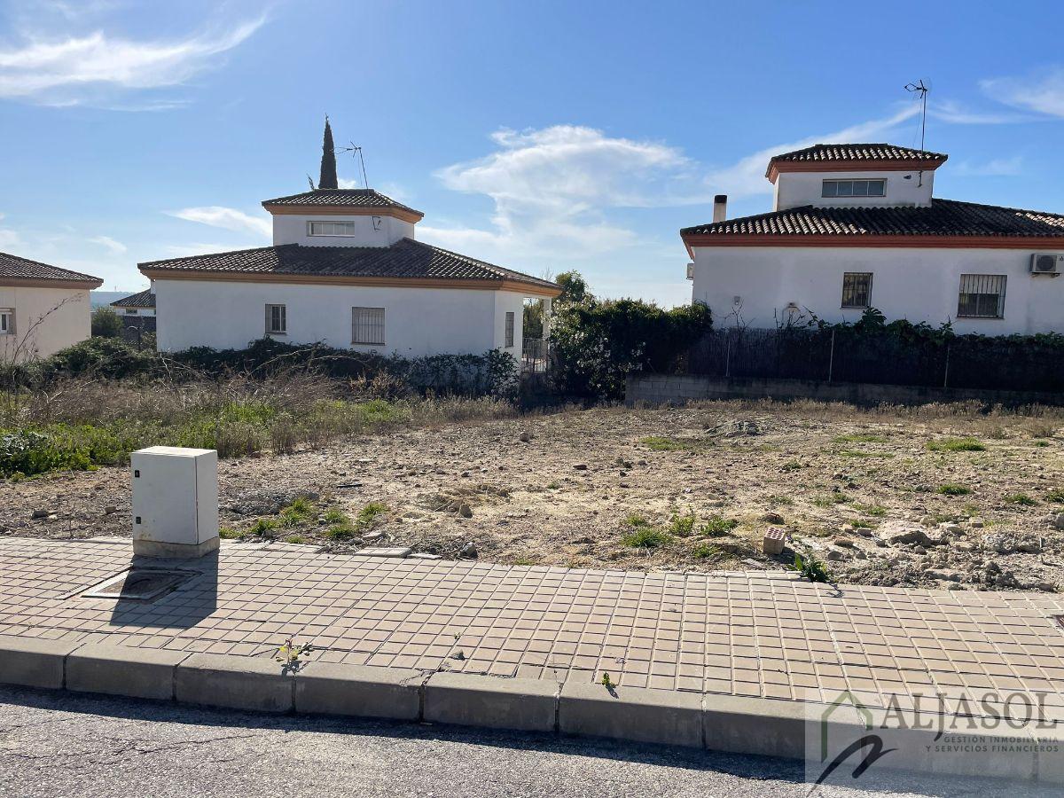 For sale of land in Salteras