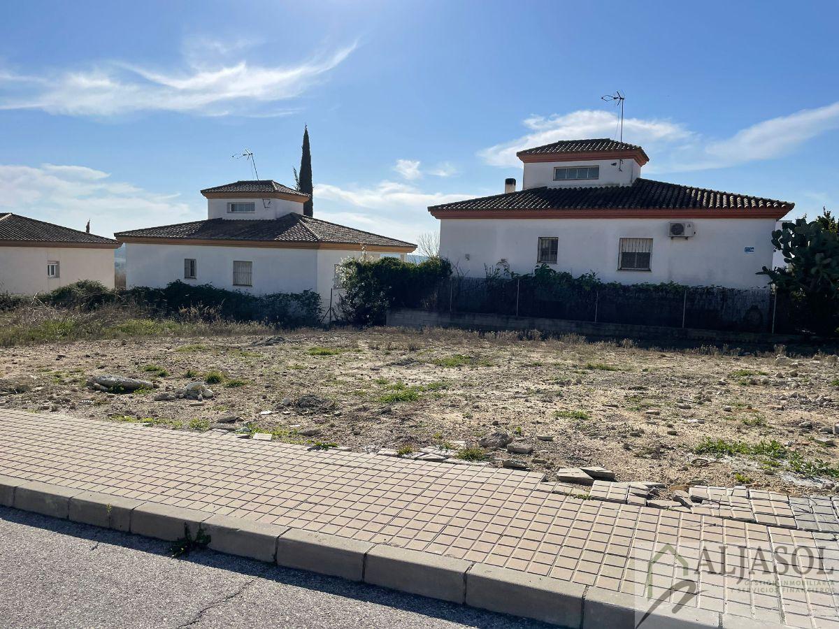 For sale of land in Salteras