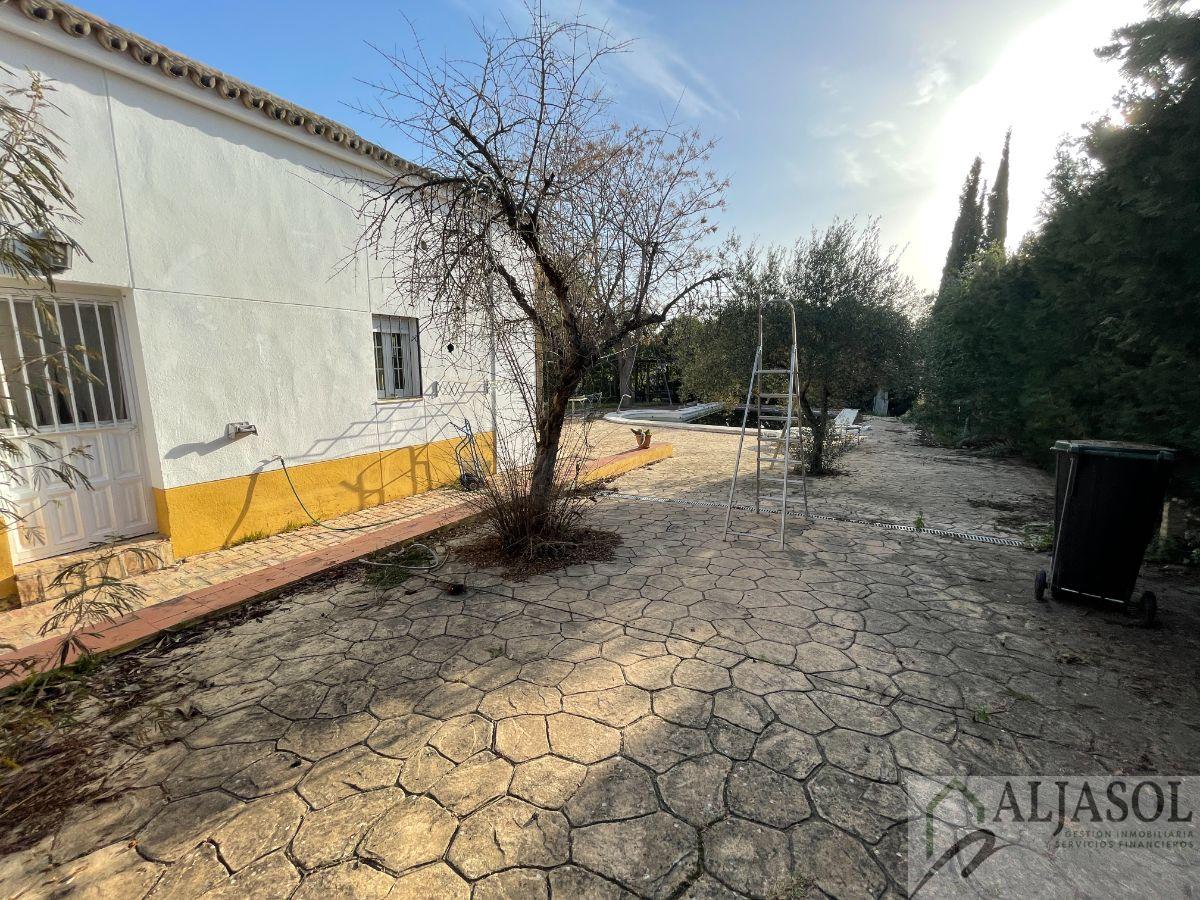 For sale of chalet in Salteras