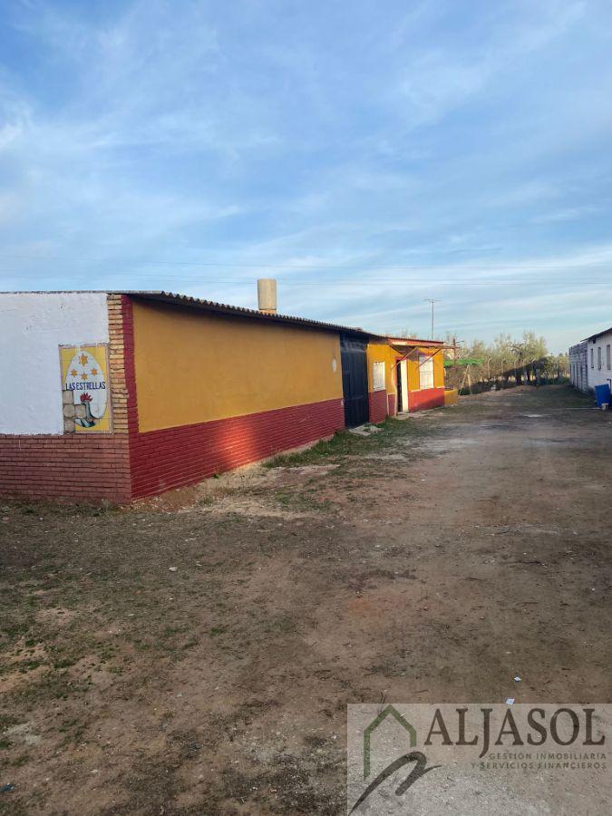 For sale of rural property in Sanlúcar la Mayor