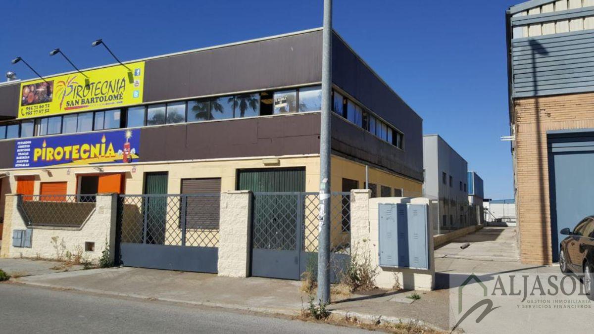 For rent of industrial plant/warehouse in Bollullos de la Mitación