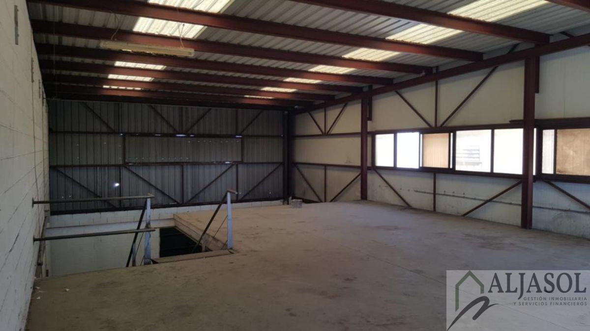 For rent of industrial plant/warehouse in Bollullos de la Mitación