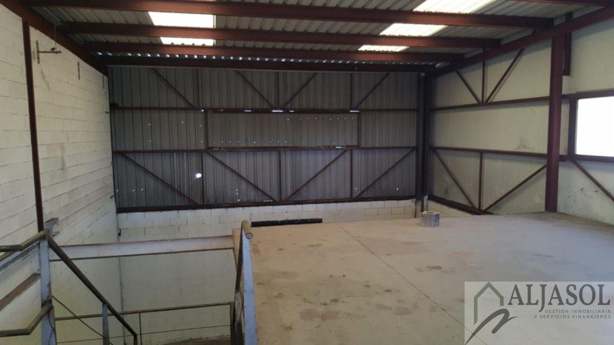 For rent of industrial plant/warehouse in Bollullos de la Mitación