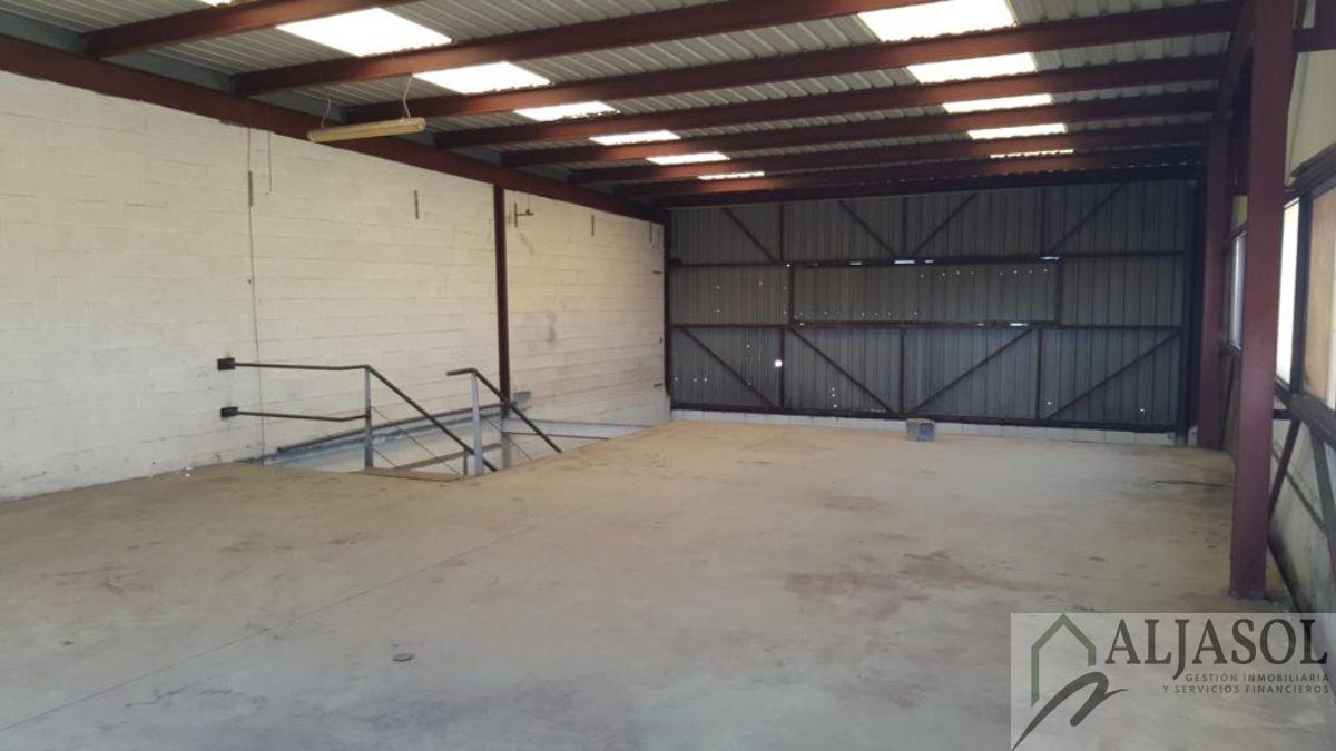For rent of industrial plant/warehouse in Bollullos de la Mitación