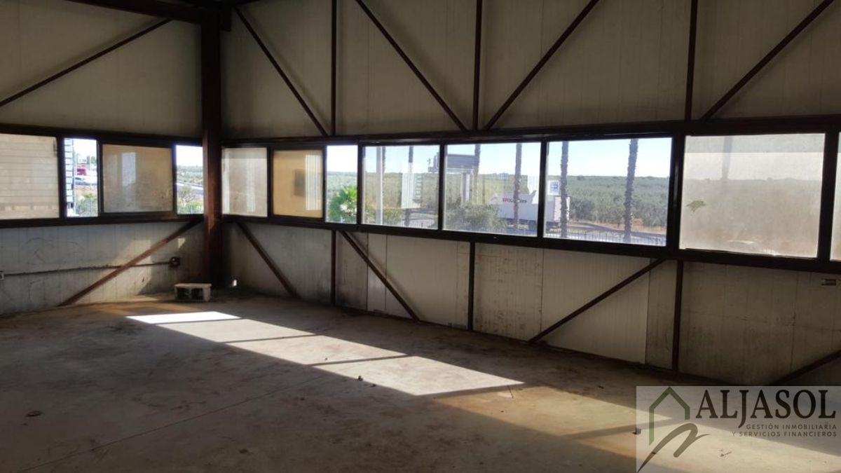 For rent of industrial plant/warehouse in Bollullos de la Mitación