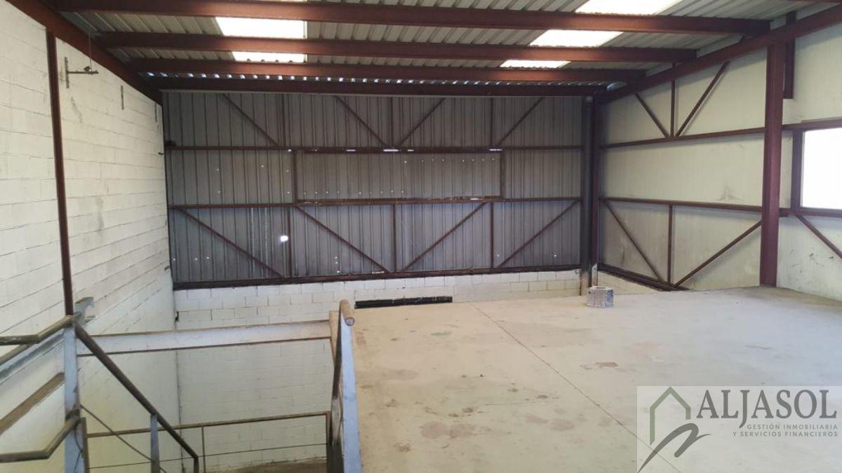 For rent of industrial plant/warehouse in Bollullos de la Mitación