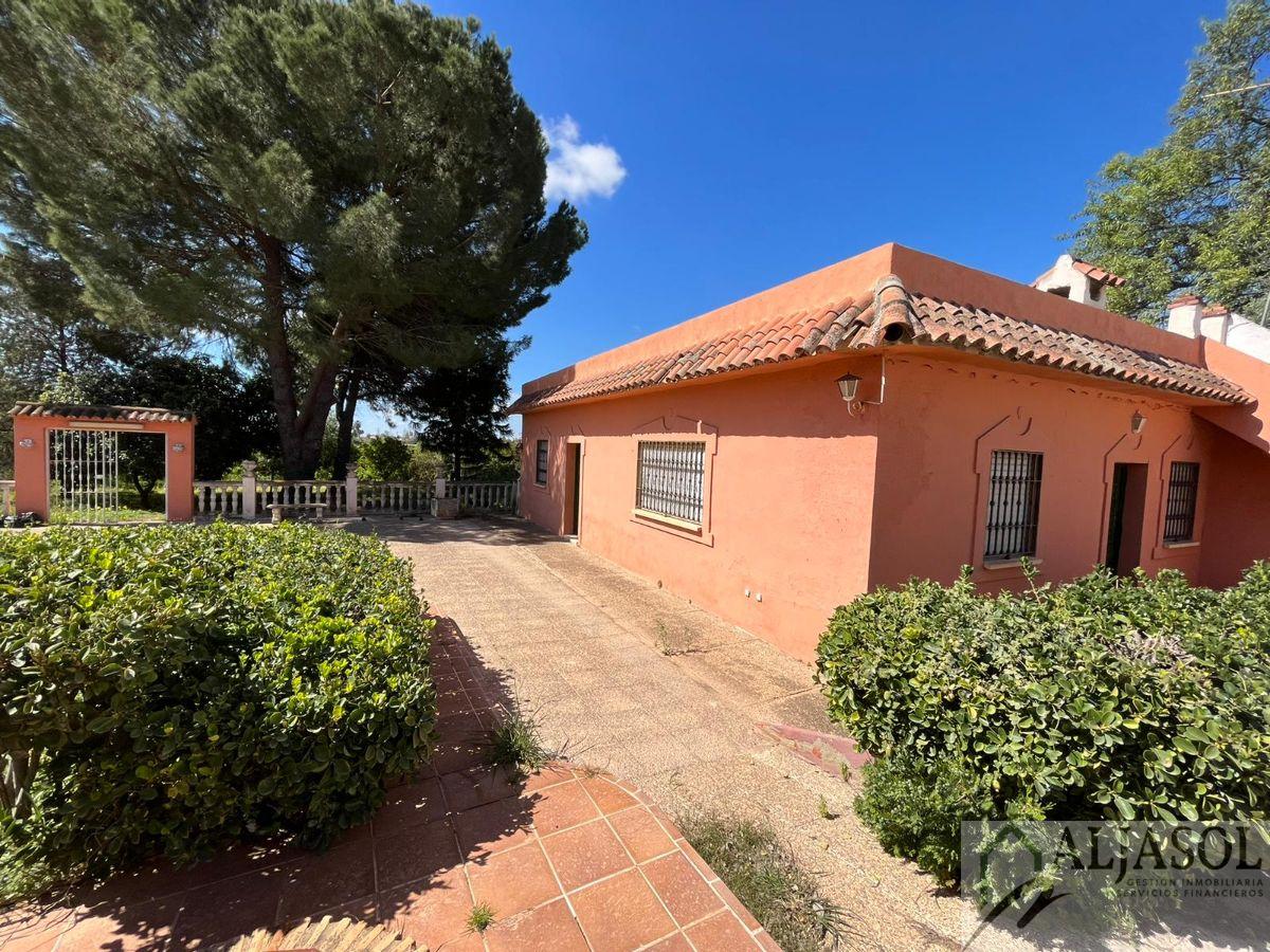 Venta de chalet en Sanlúcar la Mayor