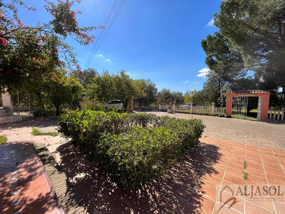 Venta de chalet en Sanlúcar la Mayor