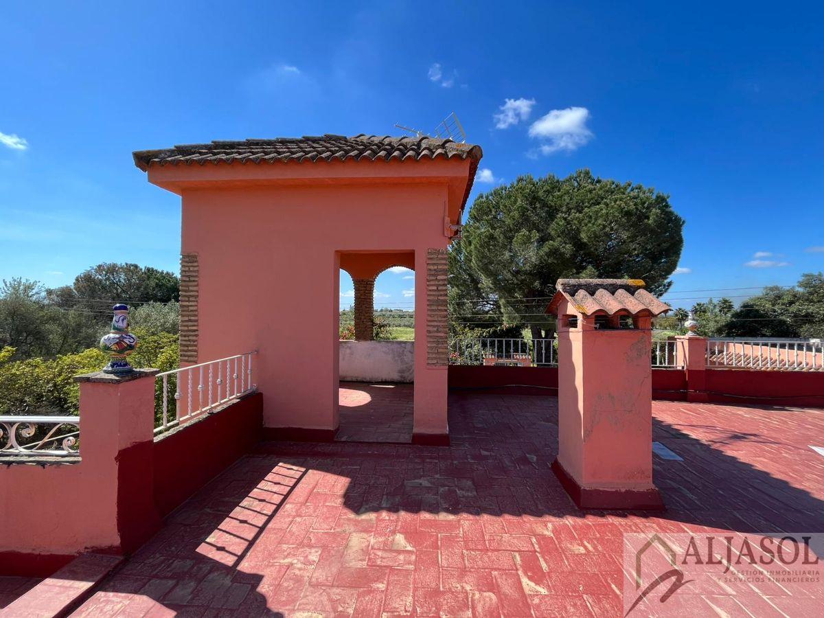 Venta de chalet en Sanlúcar la Mayor